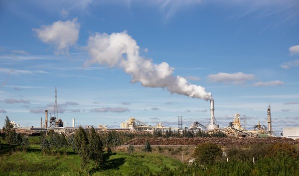 Comment fonctionne un simulateur d'empreinte carbone ?